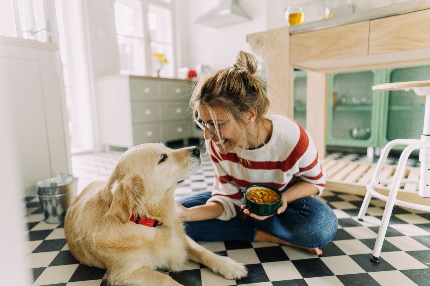 6 Tips to keep pets safe | PEMCO