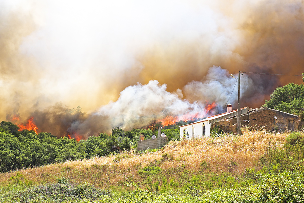House Rules 101: A great wildfire defense starts at home