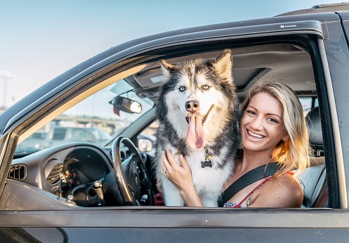 girl-driver-and-dog.jpg