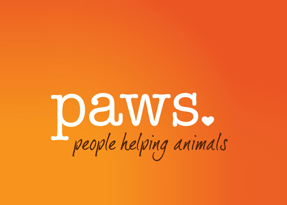 pemco-pemco-supports-paws-pemco-insurance