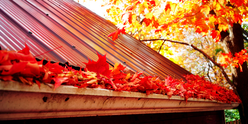 Fall to-do list for your home, car and boat