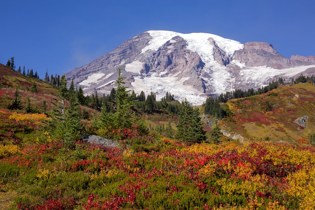 The best places to see fall leaves around the PNW