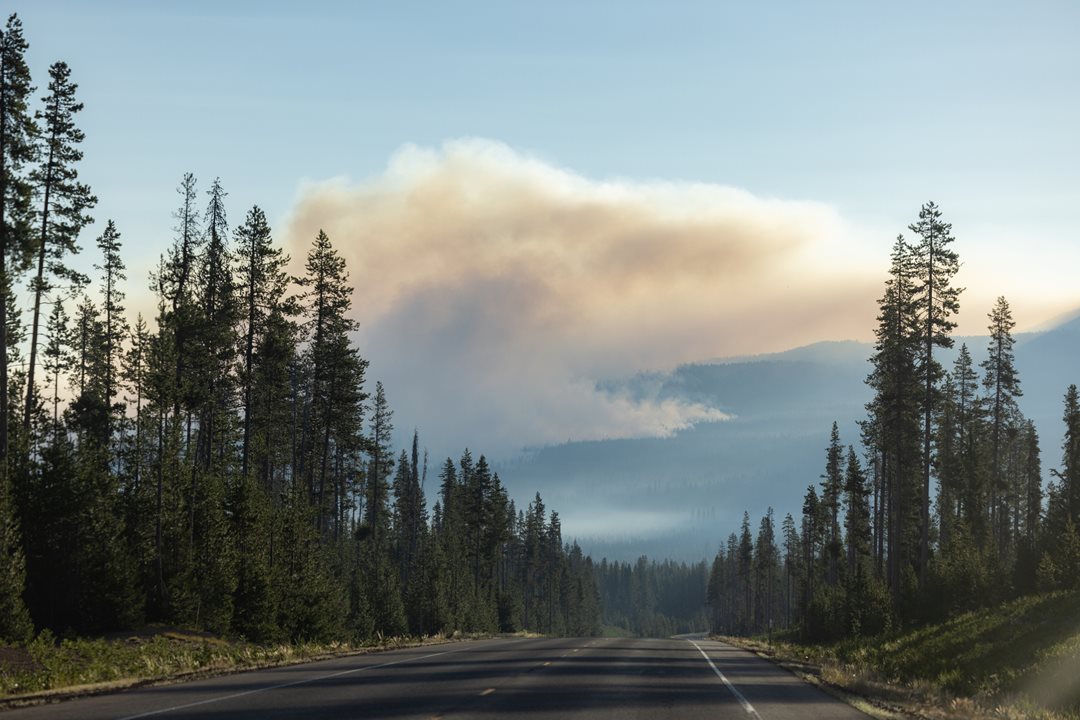 GettyImages-2163940192.jpg GettyImages-2163940192.jpg