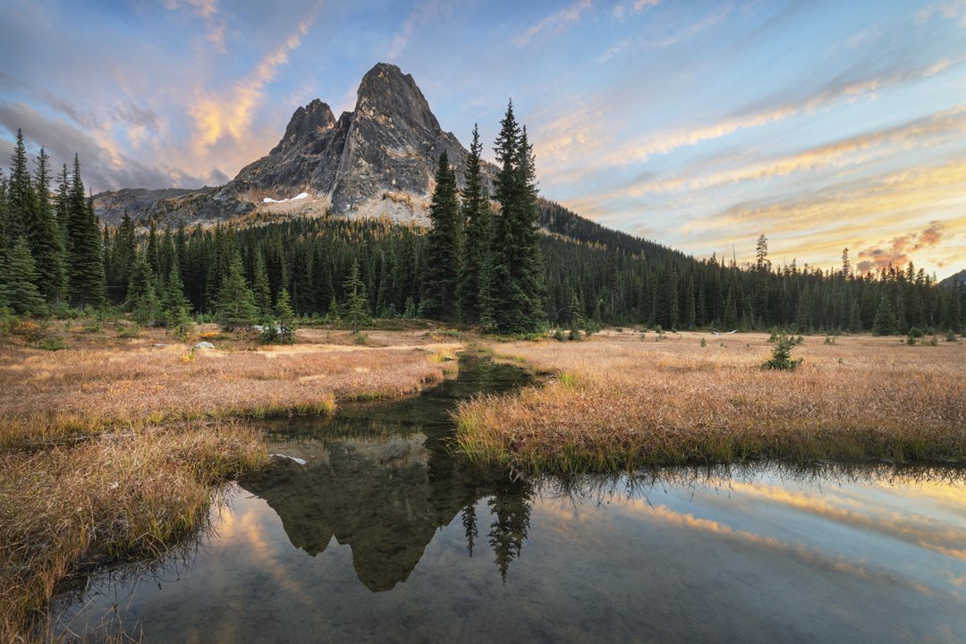 Your ultimate guide to wildfire preparedness | PEMCO