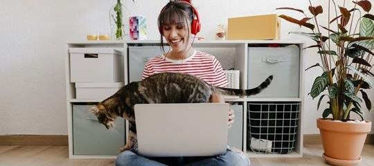 Woman on a computer with her cat.