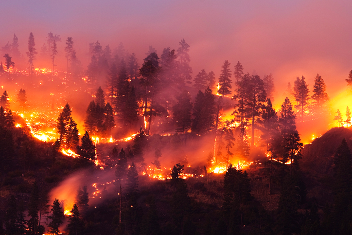 How to prepare for wildfire season: 12 steps | PEMCO