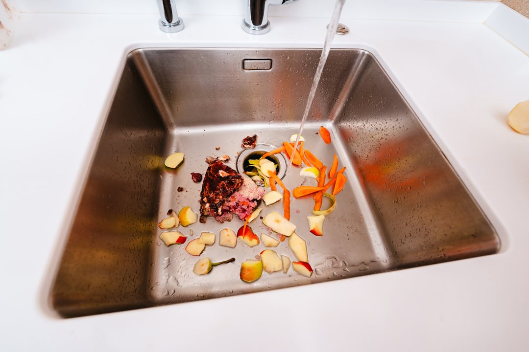 What should you never put down your garbage disposal?