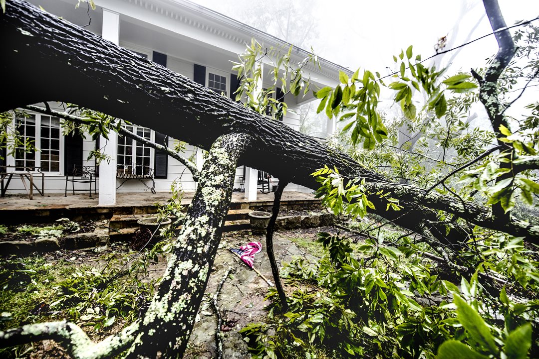 What to do before a windstorm