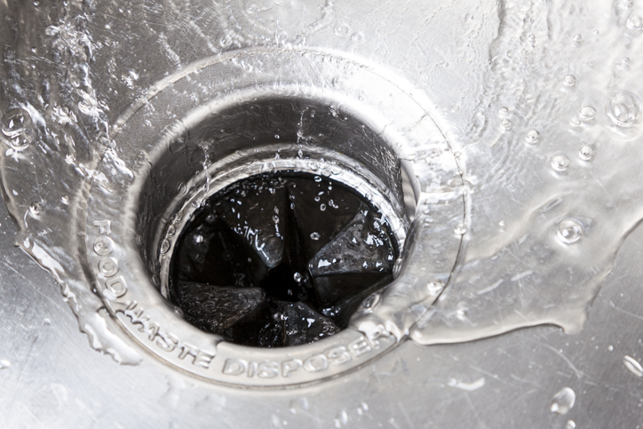 What should you never put down your garbage disposal?