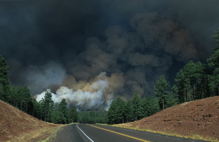 Wildfire smoke – how to protect yourself 