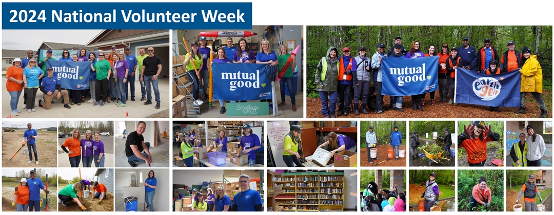Supporting environmental stewardship: National Volunteer Week 2024